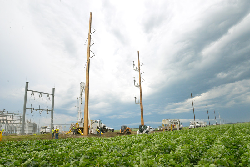 workers in the field