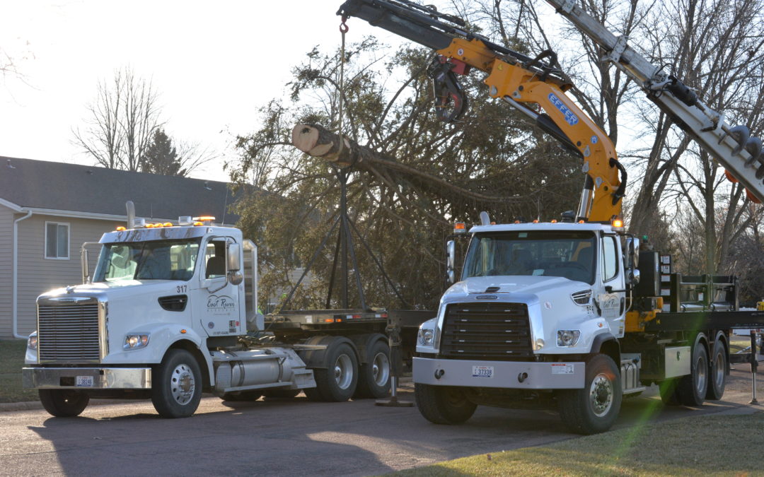 East River Crew Helps Madison Prepare for Christmas